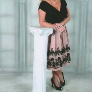 SL Fashions Ity & Taff Party Dress Style 114761 Dusty Rose and Black Size 8 zips